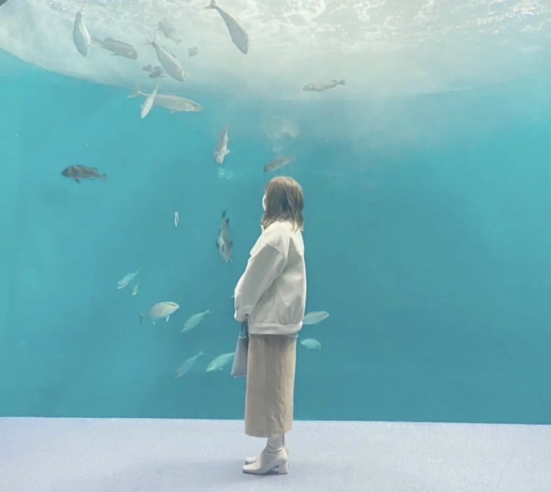 佐藤 希望